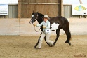 22-APHA HTB_022